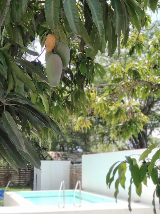 Casa Mango Amplia Con Alberca Y Cerca De La Media Luna !!! Río Verde 外观 照片